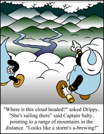 Drippy, the, Raindrops, raining, drops, waters, cycles, environments, children's books, childrens books, childrens stories, children's stories, clouds, oceans, weather seas, lakes, streams, creeks, rivers, mountains, adventures, science, evaporate, evaporation, evaporating, condense, condensation, condensing, precipitate, precipitation, precipitating, Joel, Kimball